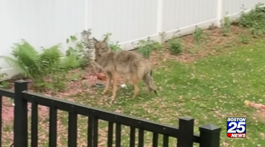 ��������������5����ͯ���ԼҺ�Ժ��ɳʱ������ҧ���Ȳ�