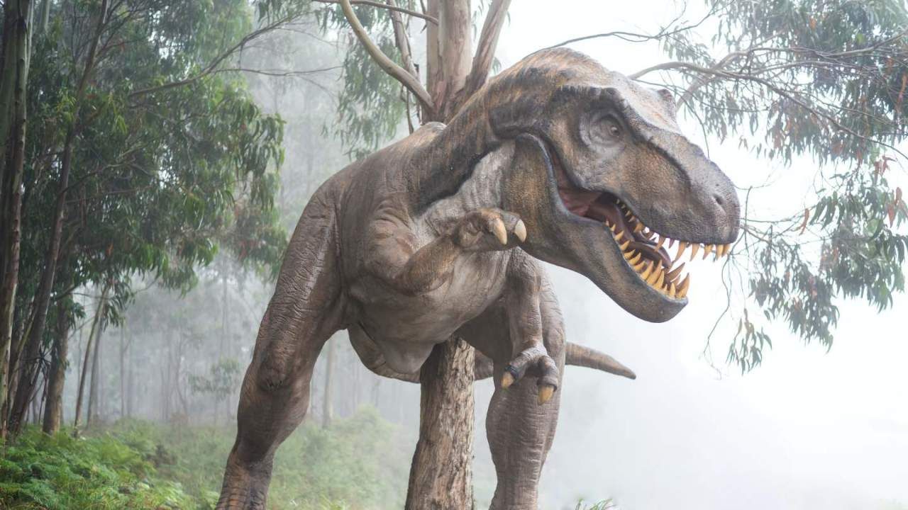 cn报道)据cnbeta:霸王龙是一种非常强大的恐龙,拥有强有力的下颚和