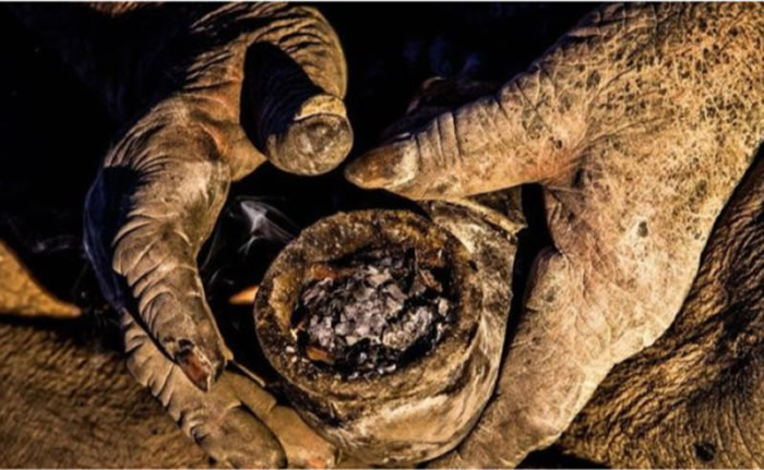 ����87������Amou Haji����67��û��ϴ���� ���Ƽ���˹�����¼