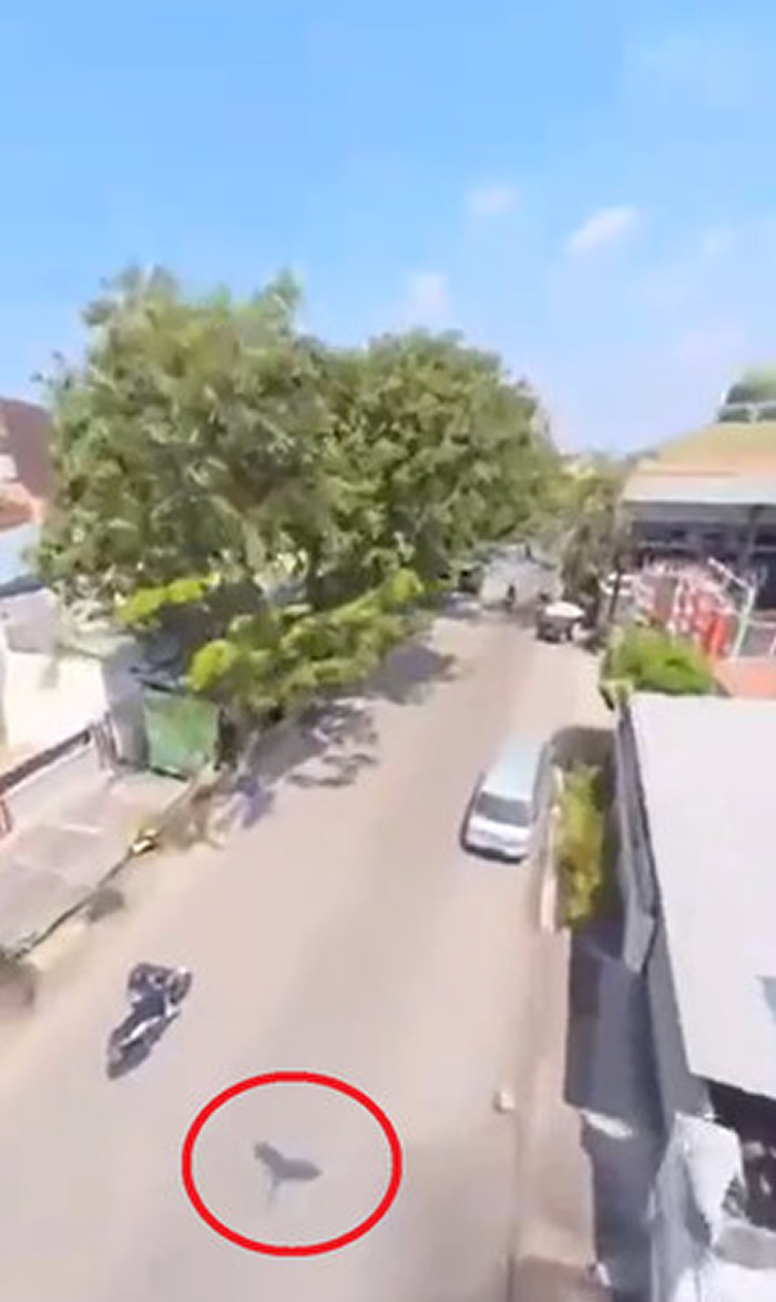 �����ӽǣ����������ֻ�������¼�¼����Ŀ��ľ�ɫ