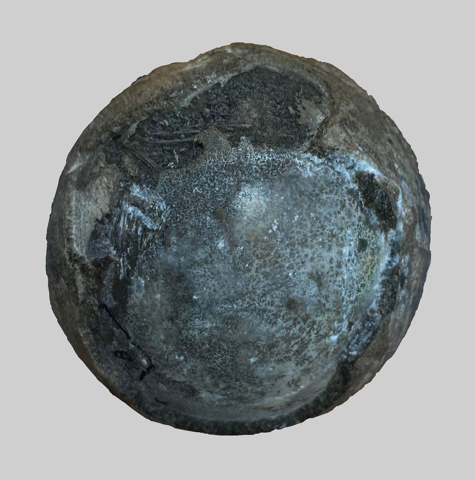 白垩纪时期的蛋化石，里面有一个罕见的龟胚胎。摄影：柯玉政