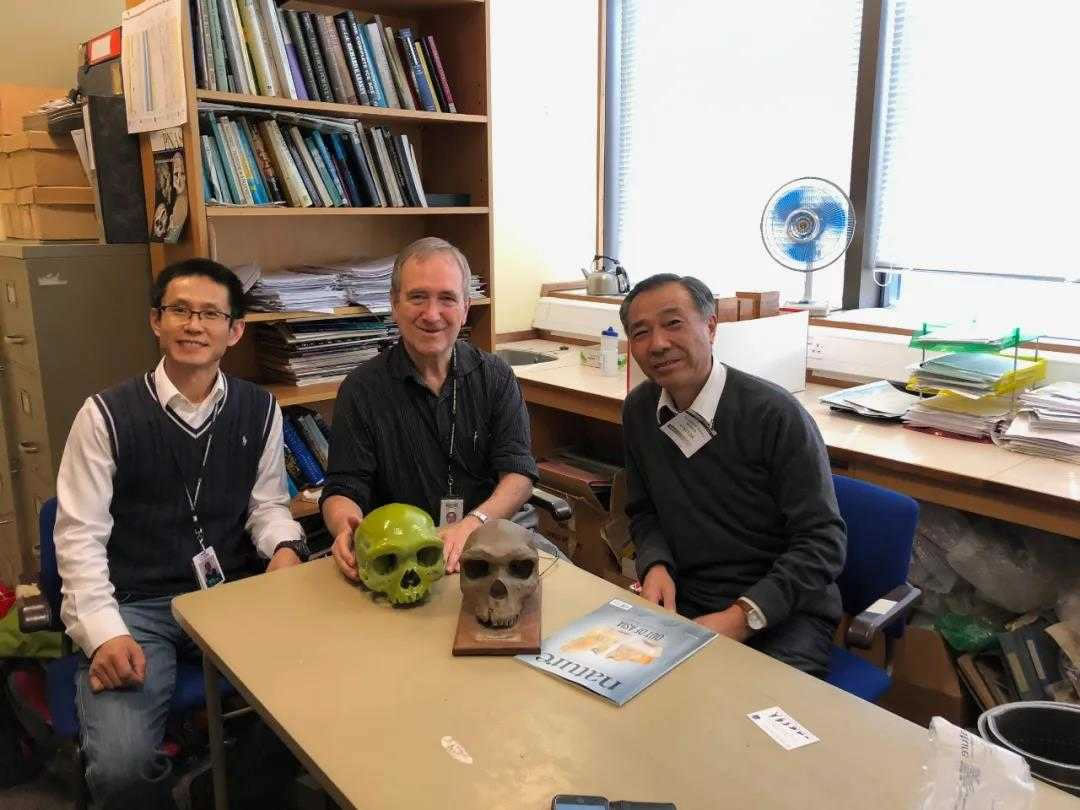 ��ϲ�����󣩡�Chris Stringer���У��ͼ�ǿ��һ�� ͼ/�ܷ����ṩ