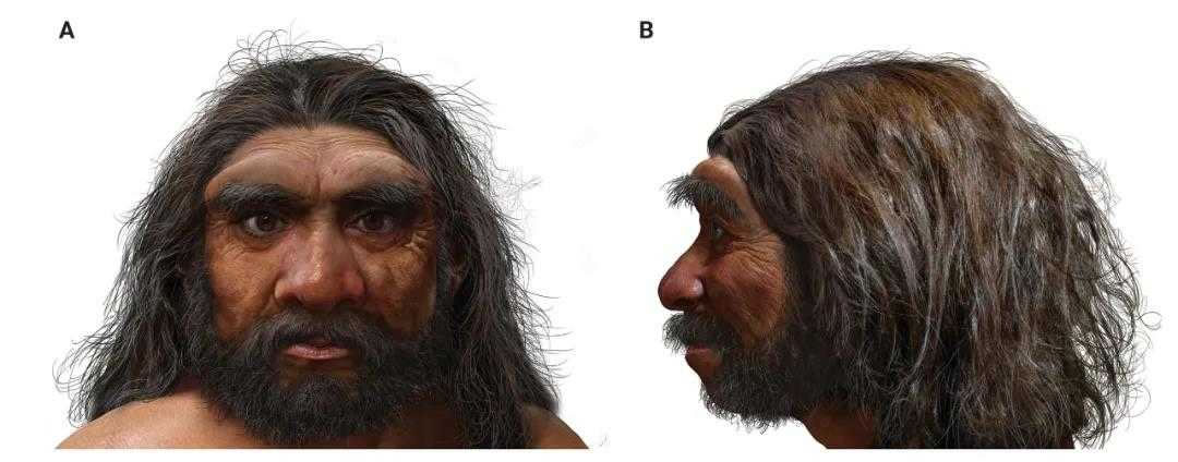 ���˸�ԭͼ ͼ/�Դ��棬The Innovation�ṩ