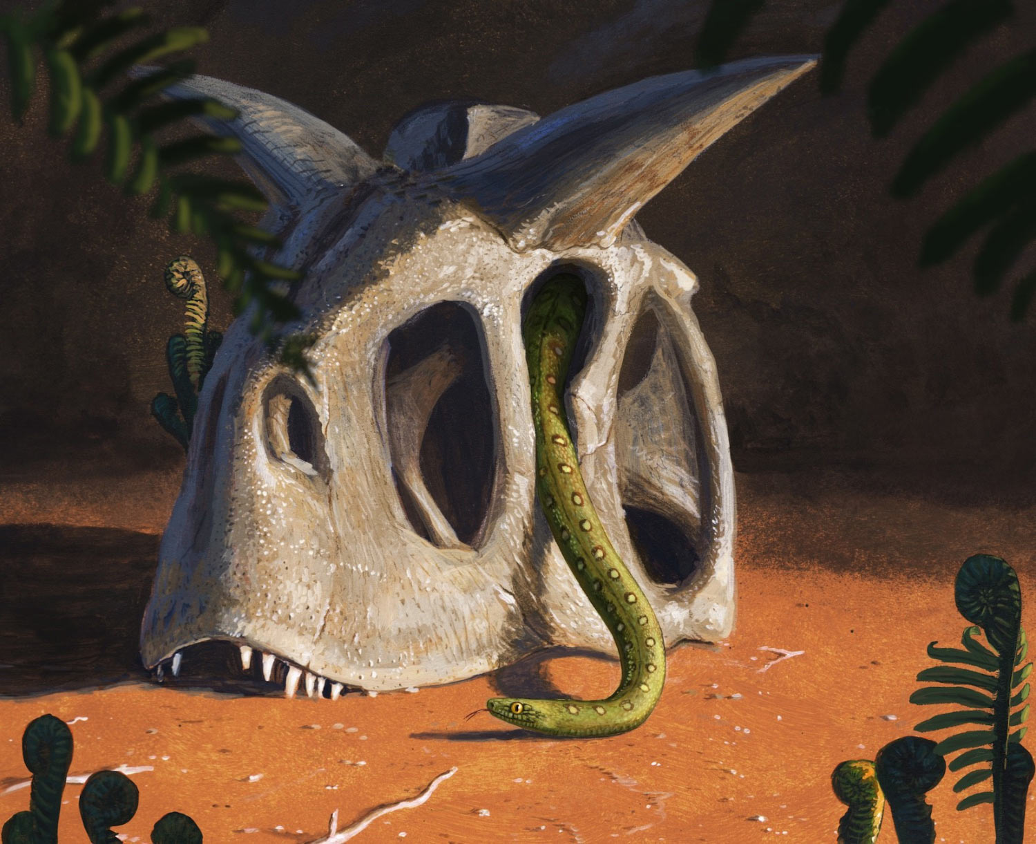 6600万年前小行星撞击地球导致恐龙灭绝 但蛇类却靠两大优势趁机壮大