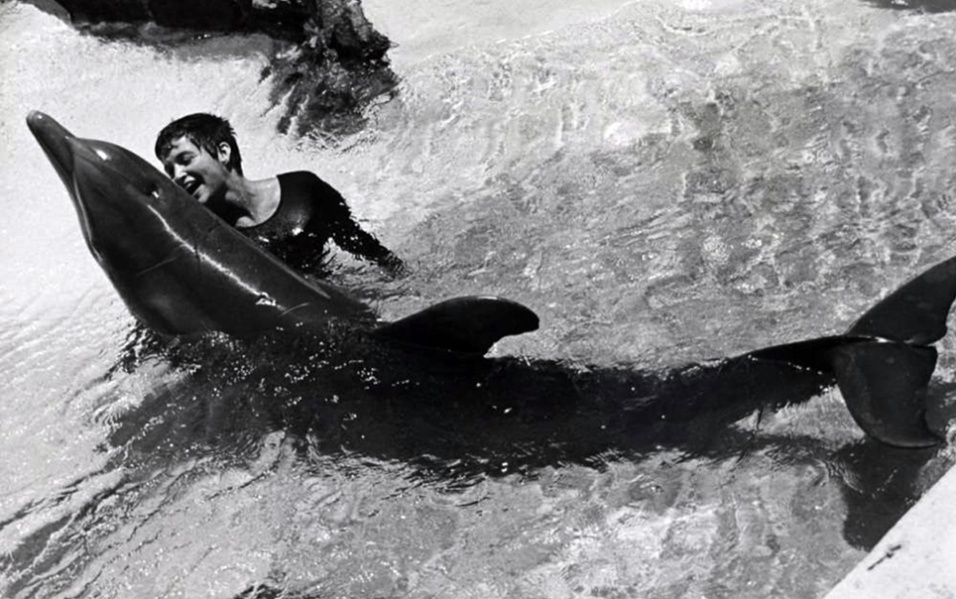 雄性瓶鼻海豚Peter疯狂爱上23岁女研究助理Margaret Howe 双方被迫分离后海豚自杀?