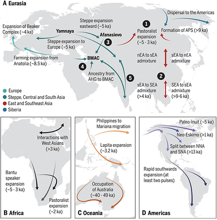 ������ȫ����Ⱥ�