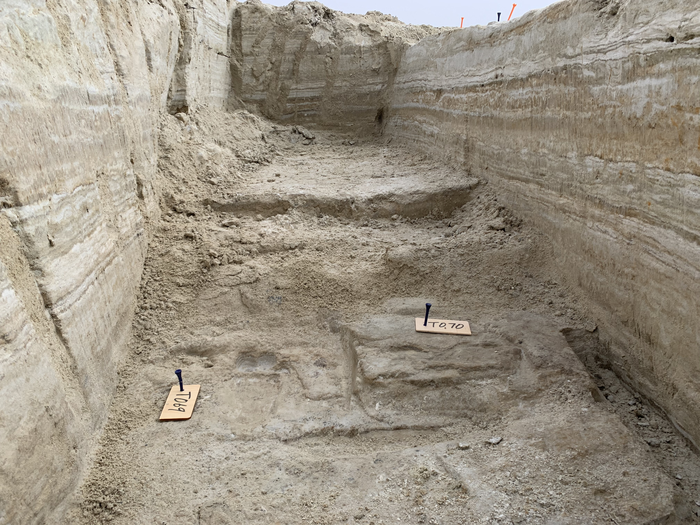 美国新墨西哥州白沙国家公园发现的脚印化石表明：人类在末次盛冰期就已在北美栖居