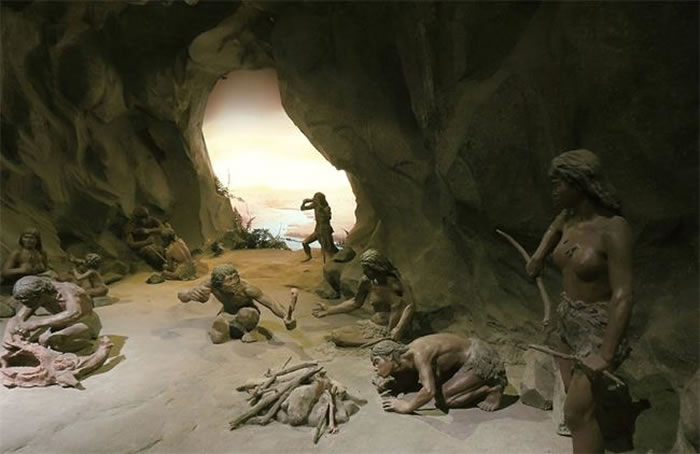 古DNA分析表明古人类和现代人类在55万年前分离后并没有相互隔离
