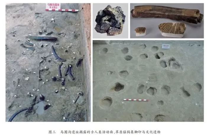 �����ﴺ������������ѧ̽������