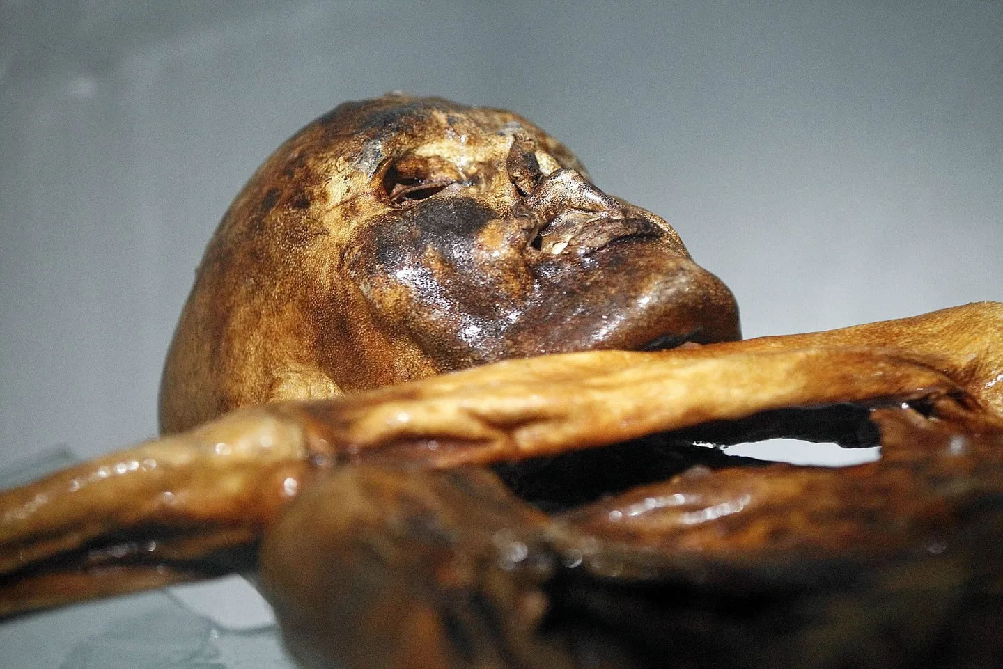欧洲最知名的木乃伊“冰人奥茨”出土30年后，我们对他了解多少？