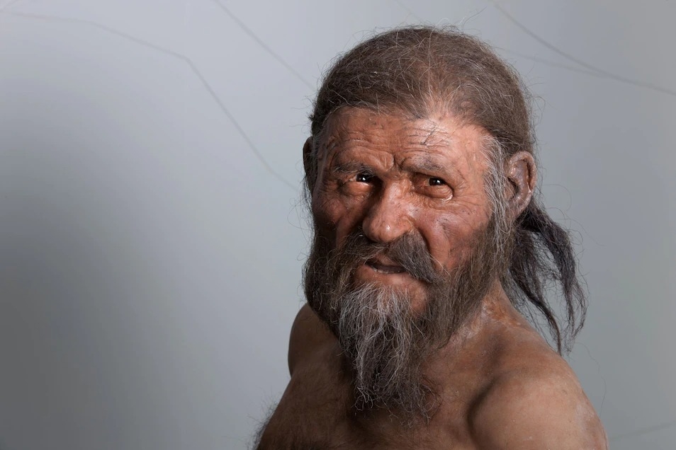 欧洲最知名的木乃伊“冰人奥茨”出土30年后，我们对他了解多少？