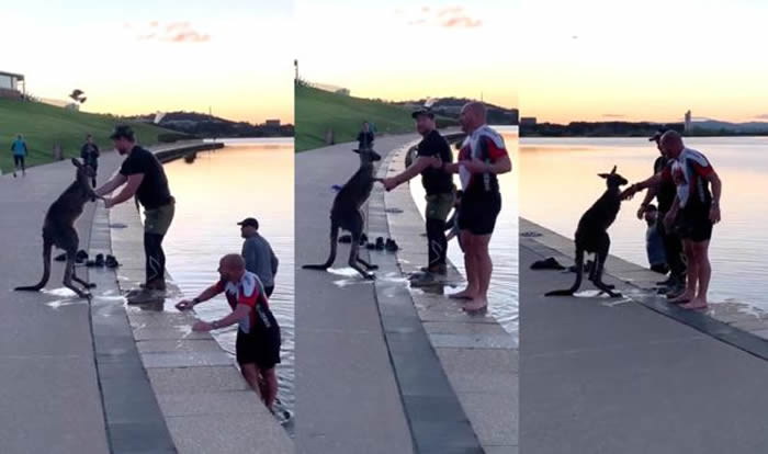 ���޿�������������Һ�һֻ�����Ⱥ� ���������������������л��