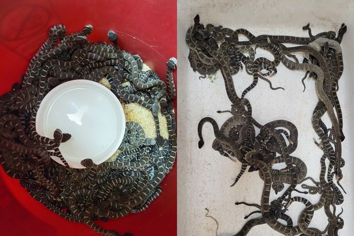 ����һ��Ů�Ӽ��г���92����β��