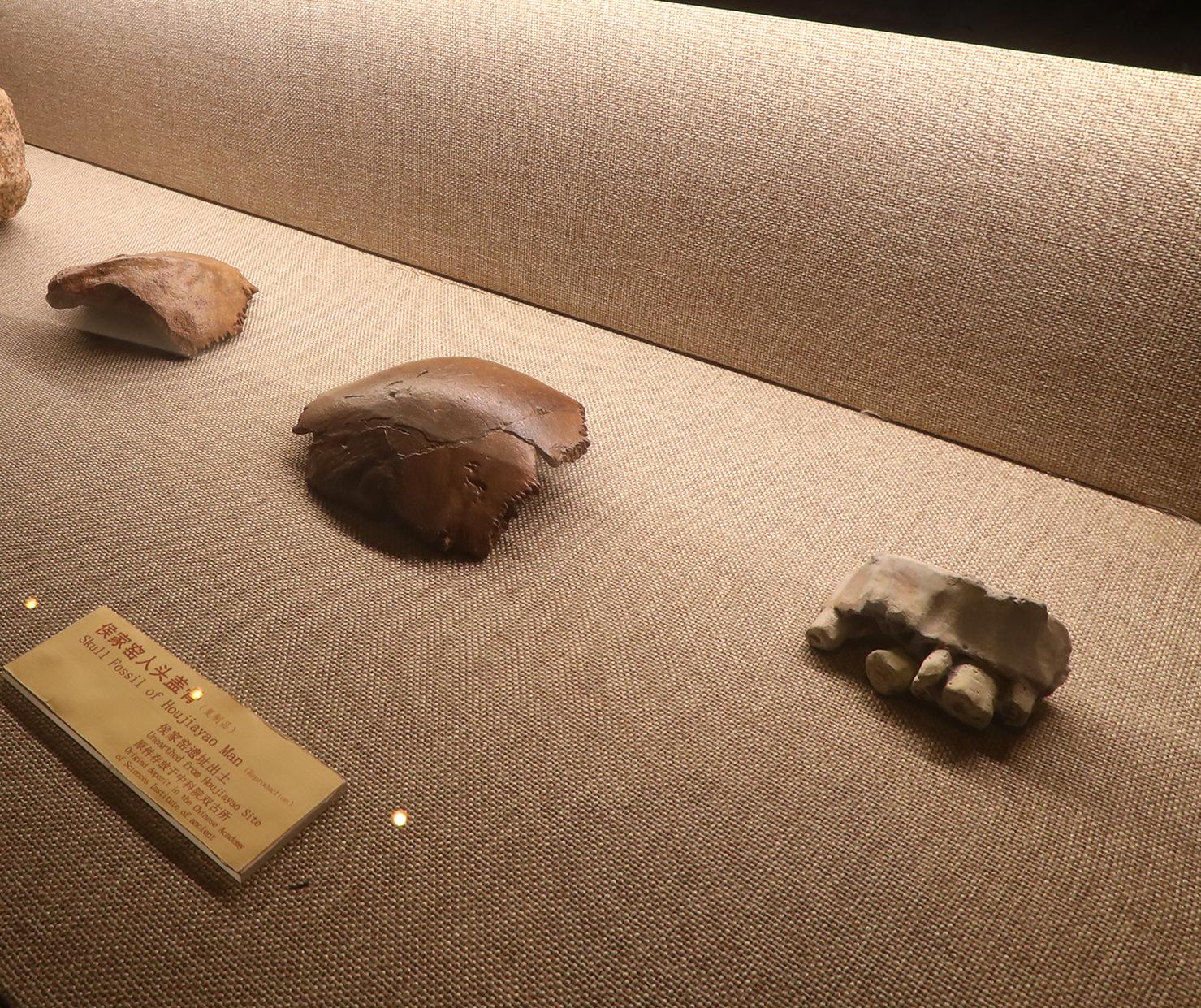 侯家窑遗址出土的旧石器中期人头盖骨。
