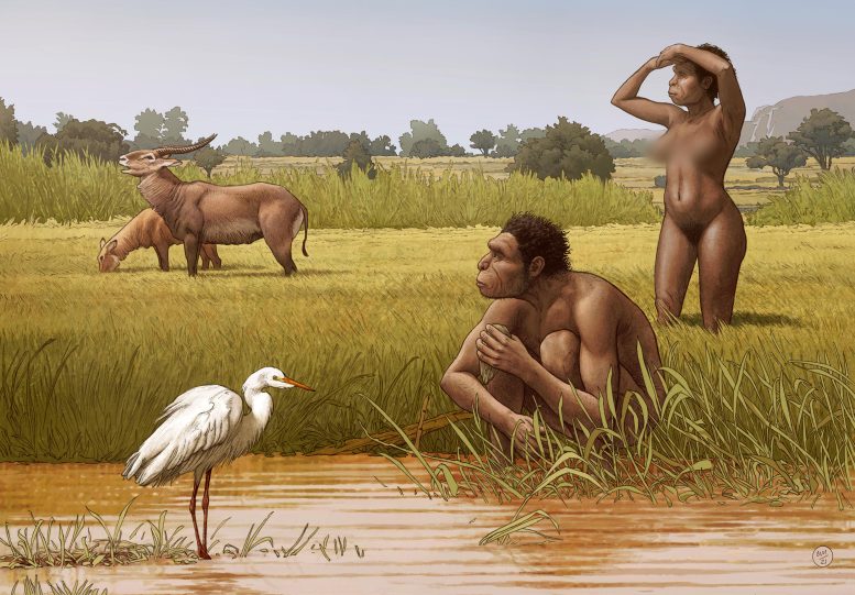 ǷµHomo bodoensis Ϊִ˵ֱ