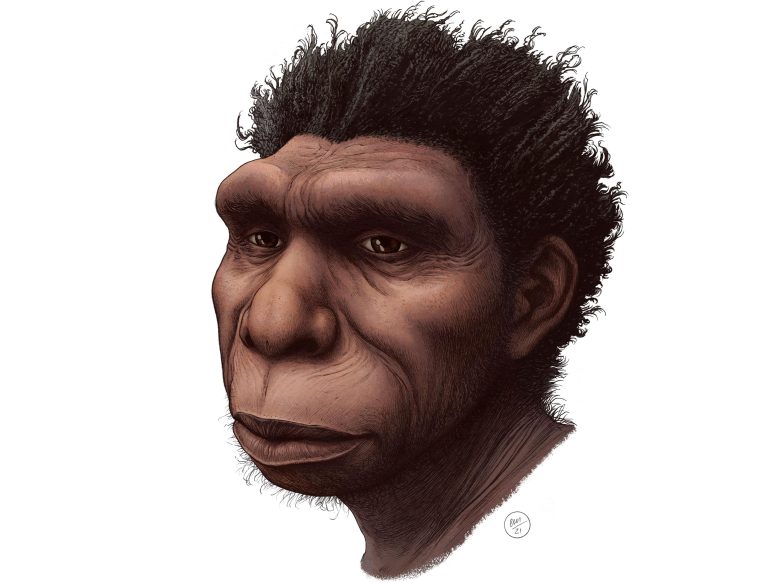 ǷµHomo bodoensis Ϊִ˵ֱ