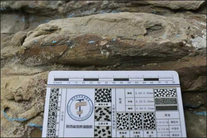 ʡʵԺ±ֶദҪ㼣ʯ