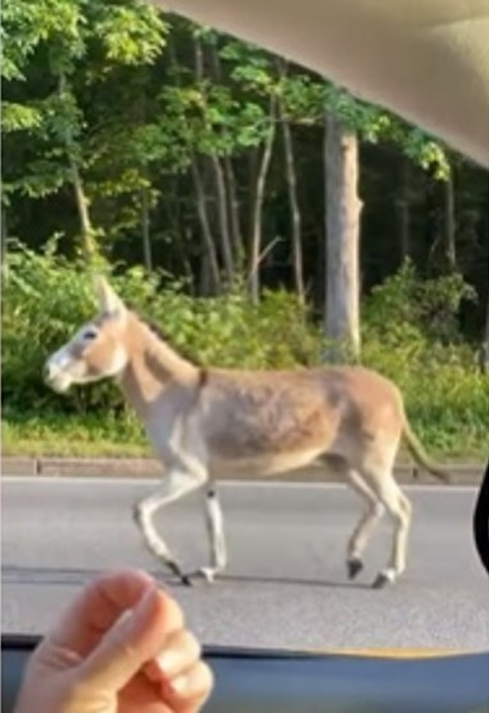 �����޵µ���¿�ӳ��߹�·�� ��4���º�ʼ�������ؾ�