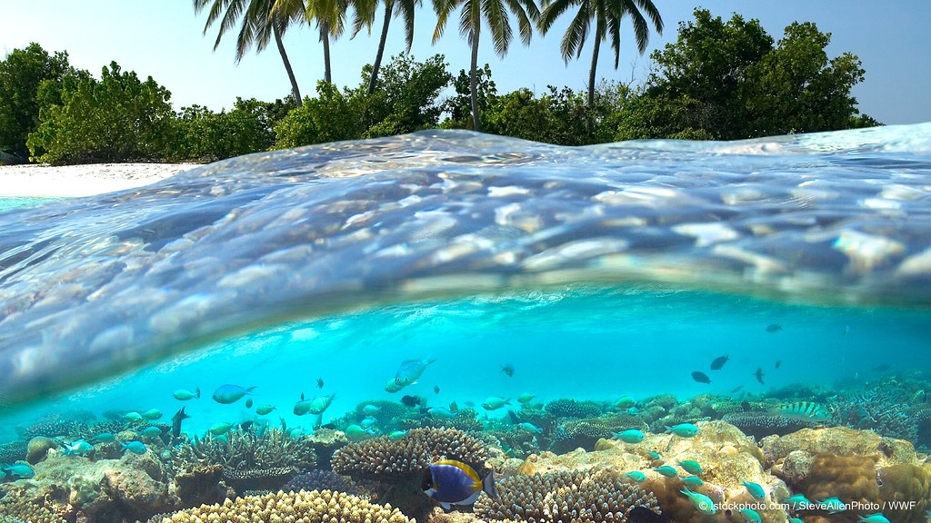 Ӧ�������ů �����������������Ϊ��Ȼ������