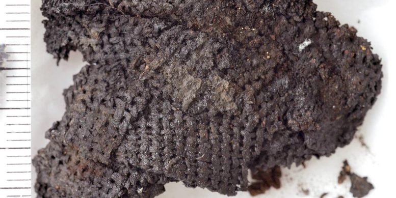 土耳其Çatalhöyük遗址的新石器时代人类使用树木韧皮纤维制作服装