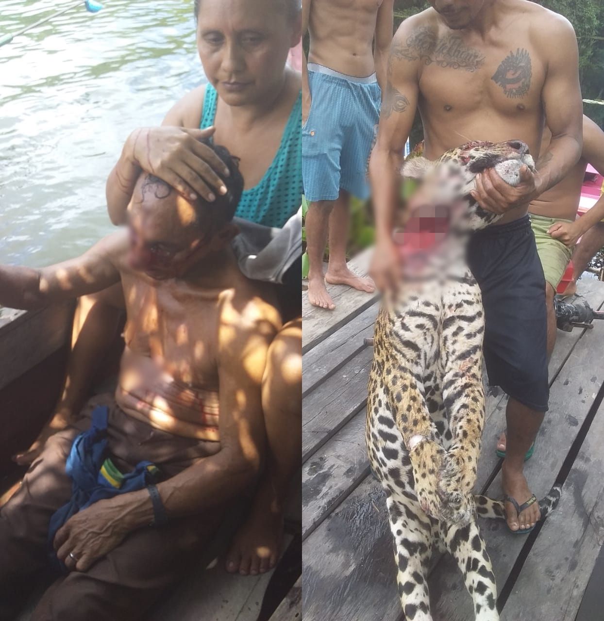 ����ũ�����ɭ�ֱ����ޱ��˵� ���������俳����è