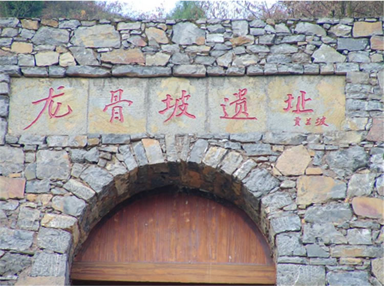巫山龙骨坡遗址：东亚人类的祖先、史前文化的原