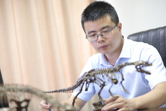 代辉研究新命名恐龙“普安云阳龙”3D打印模型