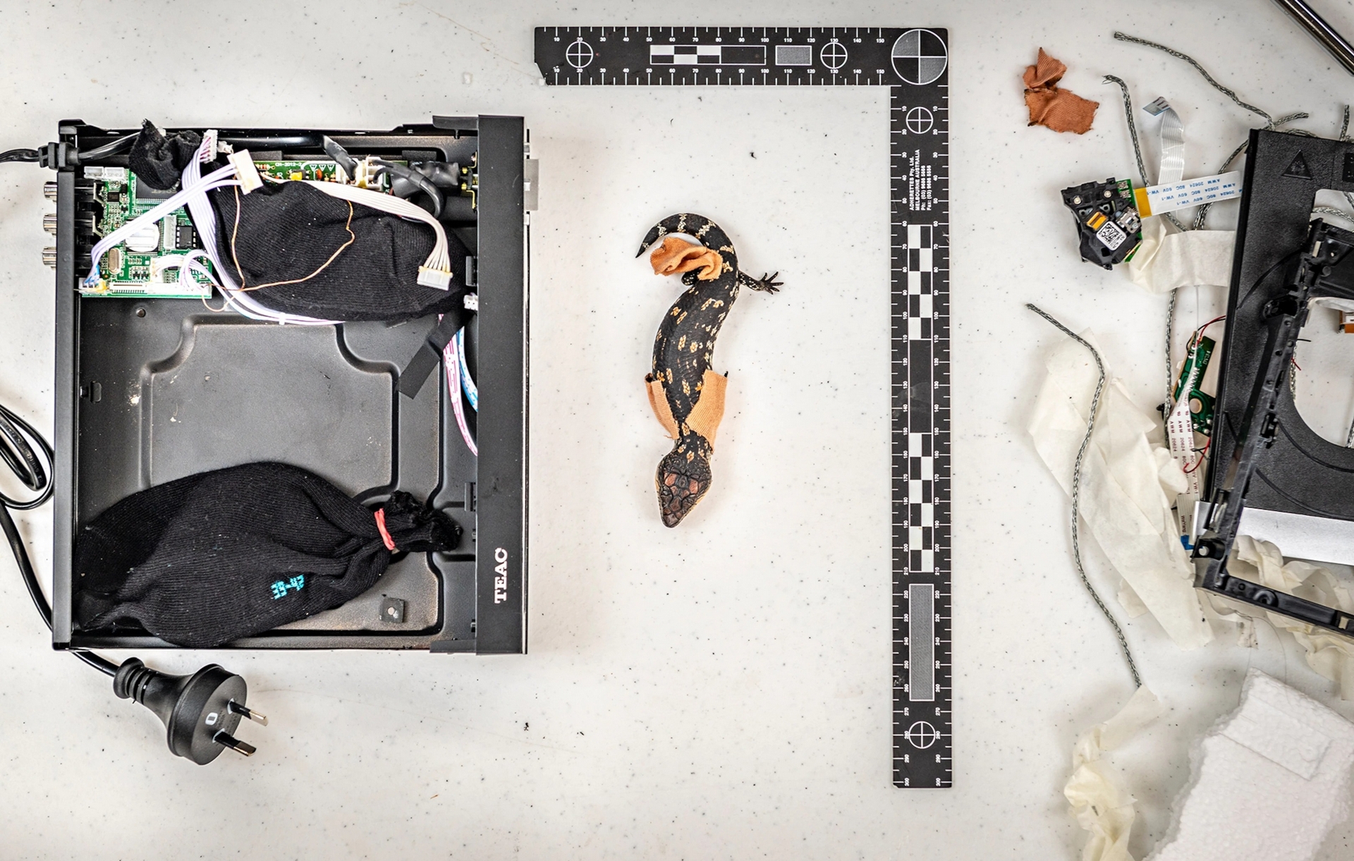 ˽ͨᱻж;оˮ뼫¶֮࣬Ŀĵʱܼʧȥʶ̨DVDйֻȻʱ