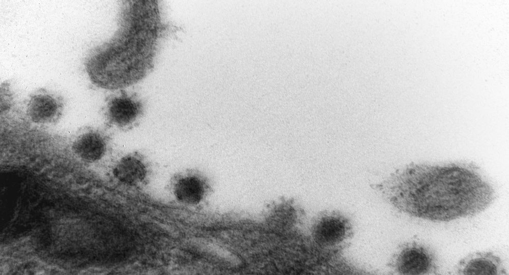 科学家认为在日本流行传播的新冠病毒德尔塔毒株可能会不断变异直到“自我灭绝”