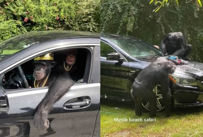 ����������:�����Ͽ������������ض���̲Ұ������԰��ֻ�����ɾ�Ȼѧ����ο���