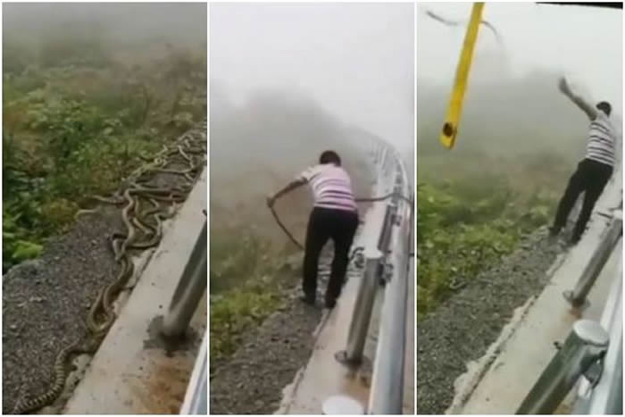 ��ʮ�����̾��ڹ�·Χ�����Ҵ� ����ͦ������