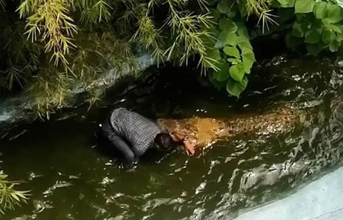 菲律宾男子误把鳄鱼当成塑胶做的 上前自拍被狠咬