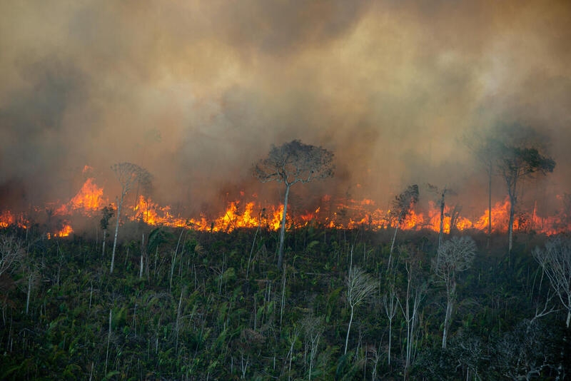 巴西政府年度报告显示：巴西亚马逊雨林滥伐在过去一年飙升了22%