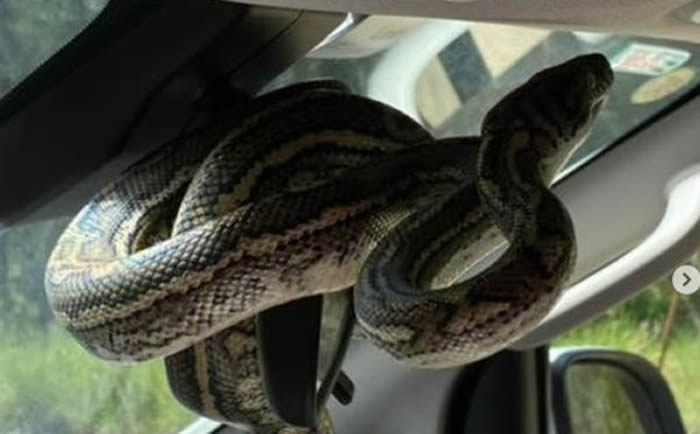 ʿһҰͻһ߾Ȼ̾ںվ