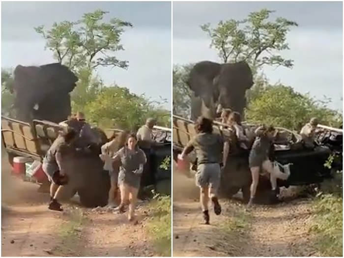 ϷһȺŮѧο³԰鹫ֲ