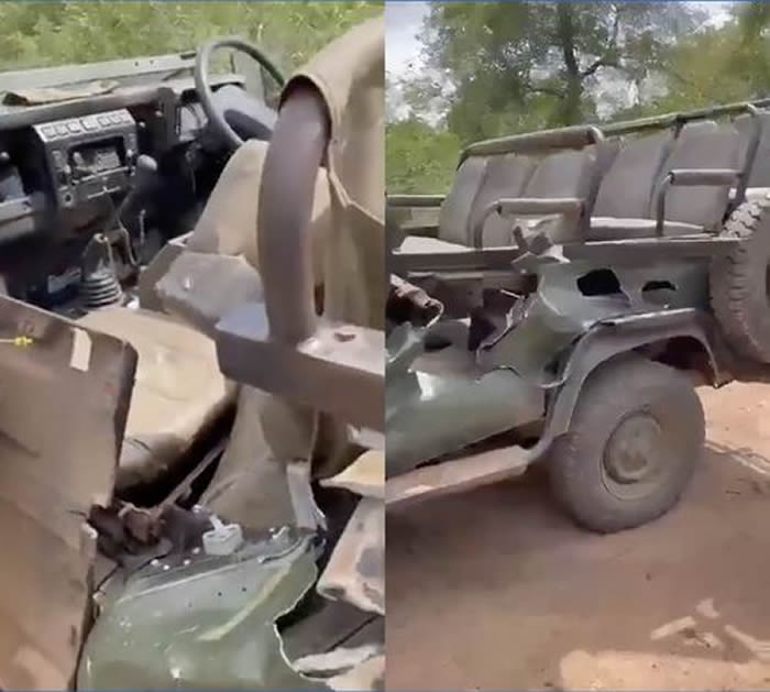 ϷһȺŮѧο³԰鹫ֲ