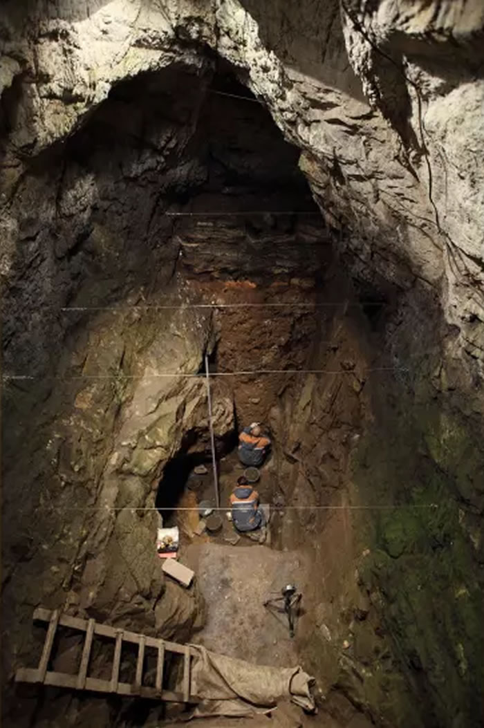 西伯利亚的丹尼索瓦洞穴中发现古人类骨骼化石 属于尼安德特人和丹尼索瓦人