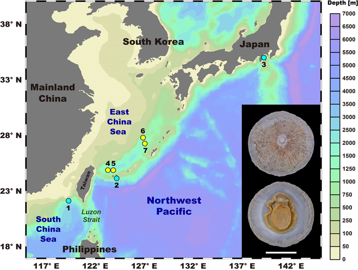 深海帽贝在西北太平洋冷泉区(蓝点)与热泉区(黄点)的采样点。 1-3：三个分别位于南海蛟龙海脊、黑岛海丘，与相模湾的冷泉区；4-7：四个位于冲绳海槽的热泉区。右