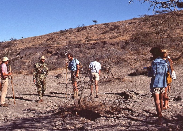 坦桑尼亚莱托利366万年前脚印或属新品种古人类