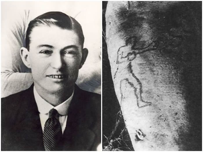 1935年澳洲悉尼曾发生一件震惊全国的命案 库吉水族馆的虎鲨吐出一截人类断臂