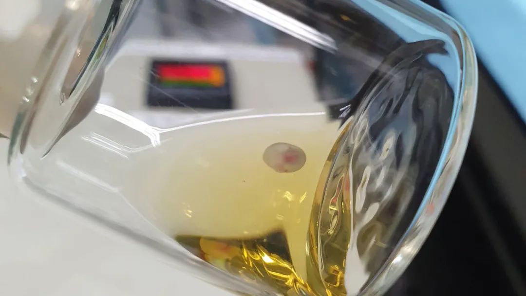 һֻ������̥��һ����ת�Ĺ�������������������̥���԰����о���Ա���õ��˽����෢�������ڽ׶�