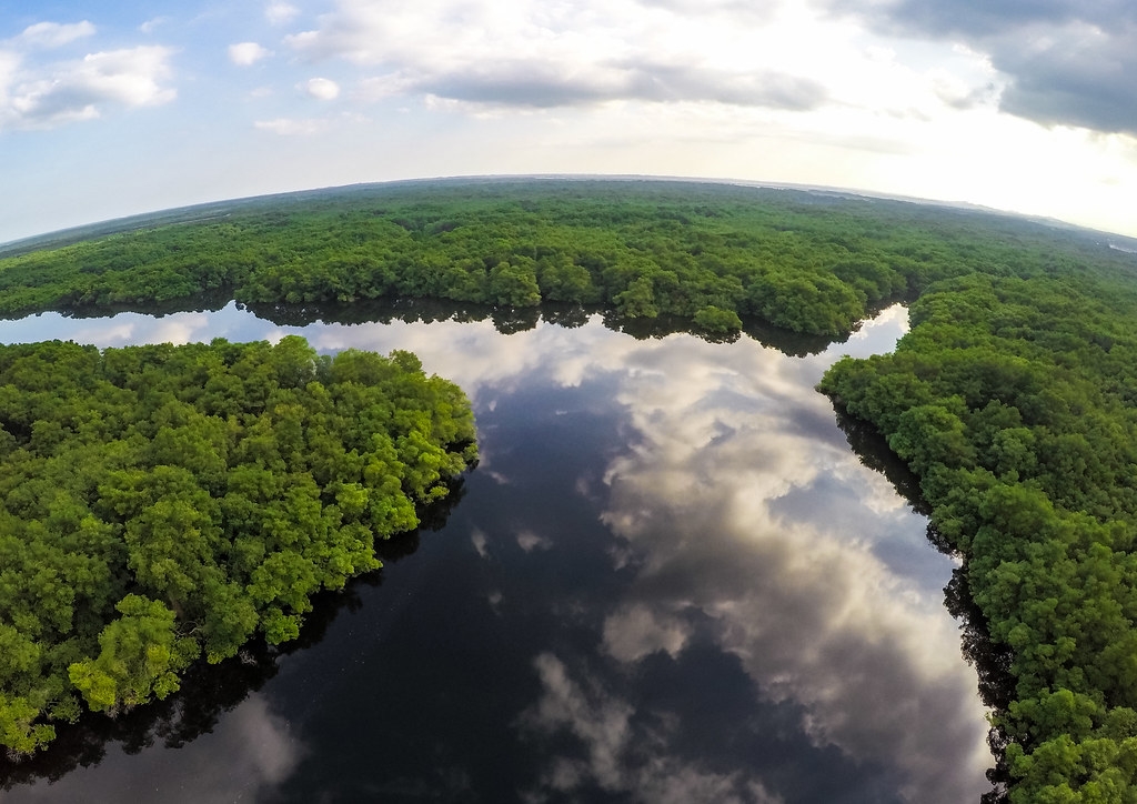 �о����֣���϶��ȴ������п��ɵ�ʯ�ͣ�Լ��һ���Ϊ���ݴ���ҵ��ȼ�ϡ���Ƭ��Դ��Ministry of Environment, Ecuador��CC BY-NC