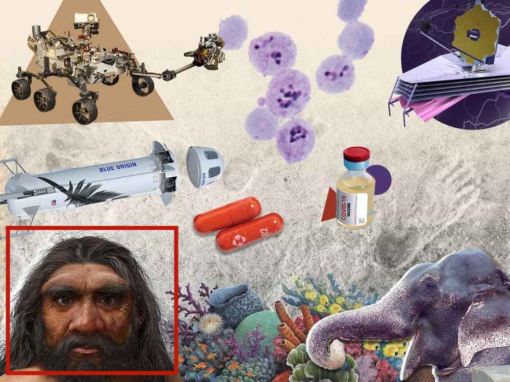 ����֪����ʷ��ɭ����־����ѧ��Ƶ�����ǵ�2021��ʮ������Ҫ�Ŀ�ѧ����