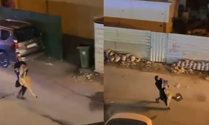 科威特一头狮子在街上乱窜引发民众恐慌 女子霸气把万兽之王当大猫抱住抓回