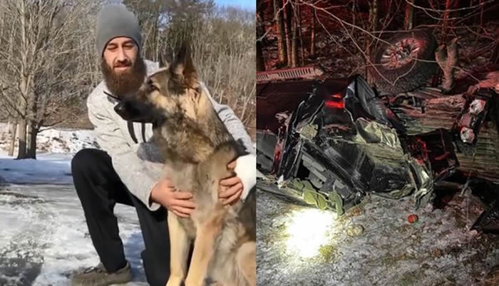 真实版《灵犬莱西》:美国新罕布夏州牧羊犬对警察狂吠奔跑 领路到车祸现场救主人