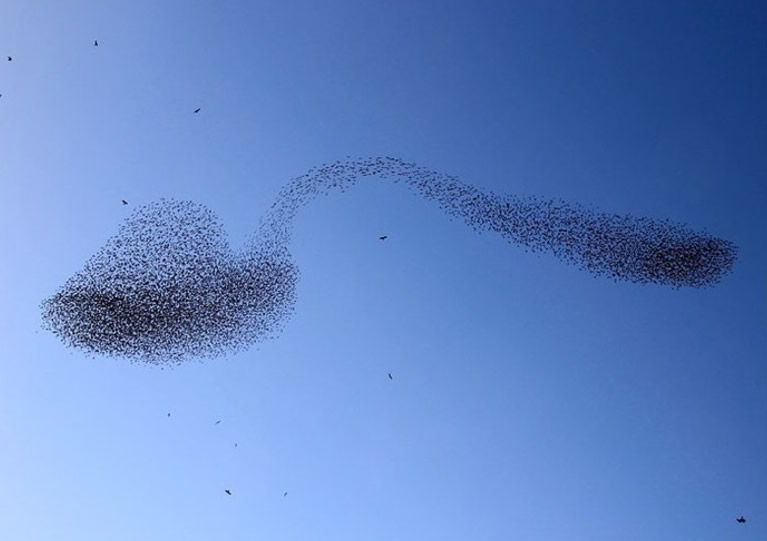 Ⱥɳǳ׸ ɫӰʦ׽һĻ