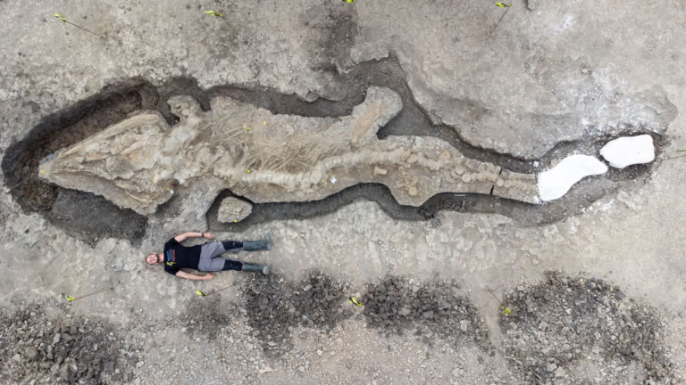 英国发现的1.8亿年前鱼龙化石揭示拥有1吨重头骨的“海龙”