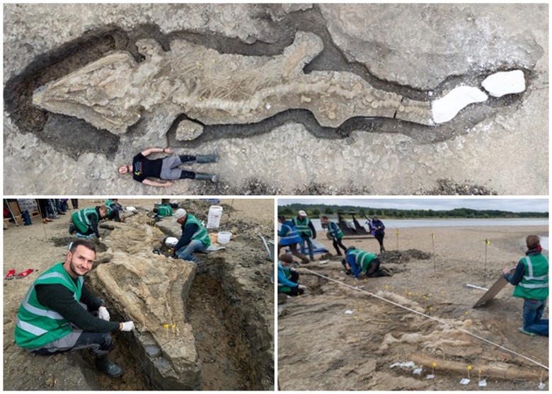 英国东米德兰兹拉特兰郡出土史上最完整鱼龙化石