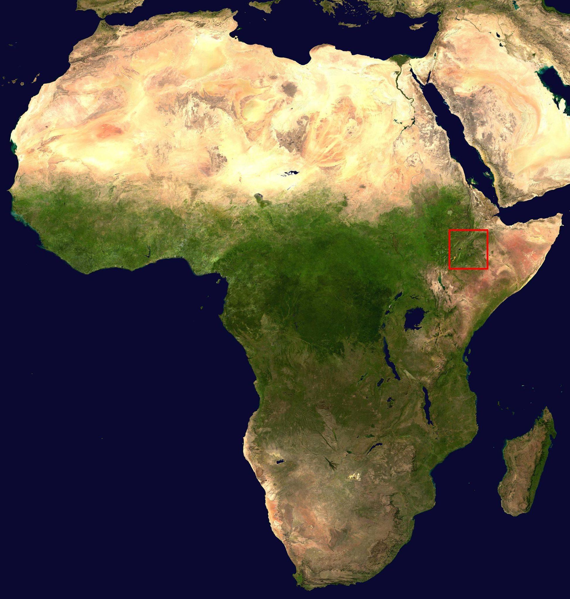 埃塞俄比亚大规模火山爆发的测算显示非洲东部最早的智人遗骸可追溯到23万多年前