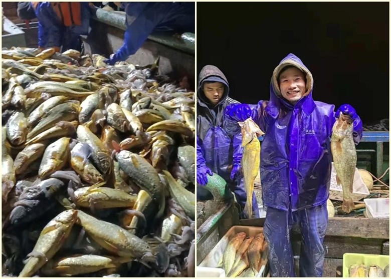 �㽭ʡ��������ɽ���洬�ڶ������񳬹�2000����Ұ������� 957������ҳɽ�